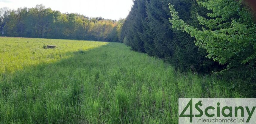 Ciche miejsce na dom w Ruścu - zdjęcie 1