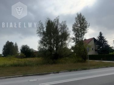 Łoziska, 1 650 000 zł, 25 ar, droga dojazdowa asfaltowa