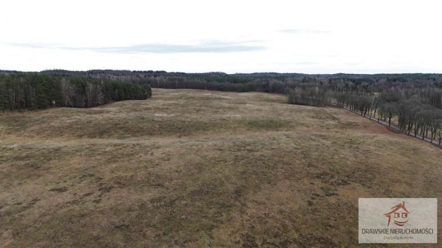 Prosino, 1 985 000 zł, 55.37 ha, rolna miniaturka 6