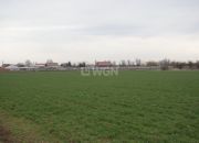 Głogów, 4 842 000 zł, 2.69 ha, inwestycyjna miniaturka 6