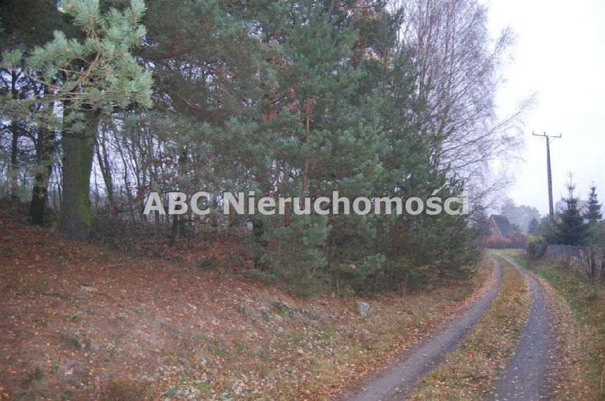 Górzna, 85 000 zł, 42 ar, przyłącze elektryczne miniaturka 2