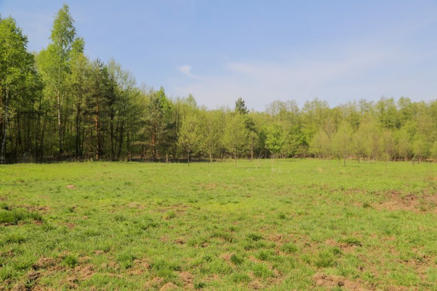 4 działki rolno-budowlane- Bielcza- Małopolska - zdjęcie 1
