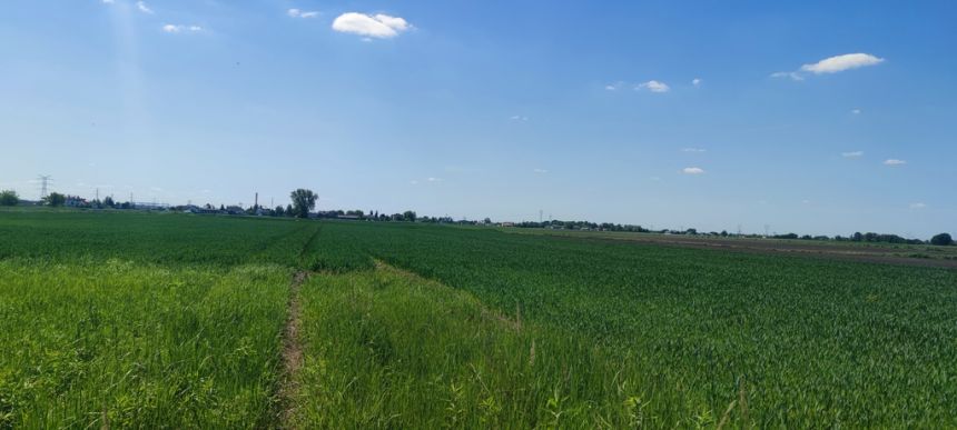 Borzęcin Duży, 430 000 zł, 10 ar, płaska miniaturka 7