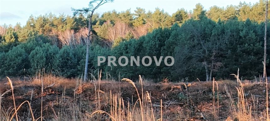 Nieruchomość gruntowa Szczecin Wielgowo Żywiczna miniaturka 4