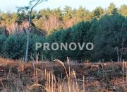 Nieruchomość gruntowa Szczecin Wielgowo Żywiczna miniaturka 4