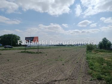 Działka Chludowo
