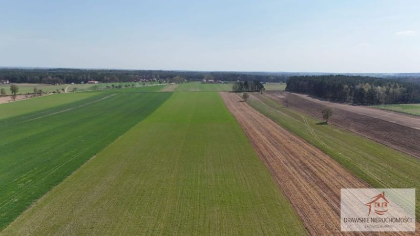 Łosośnica, 310 000 zł, 7.72 ha, rolna miniaturka 2