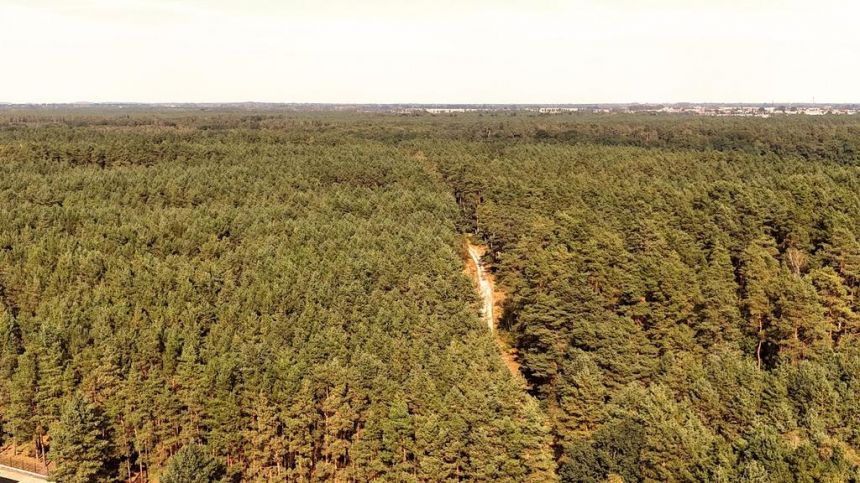 Działka budowlana w Strumianach - bliskość natury miniaturka 13