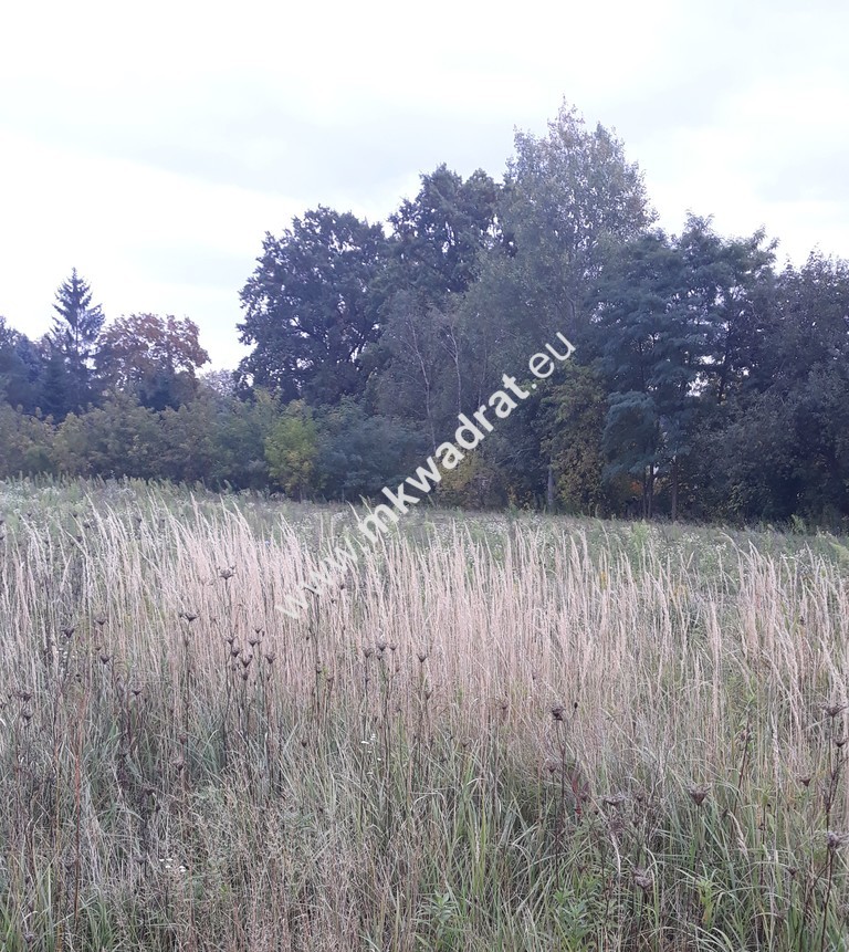 Działka siedliskowa miniaturka 2