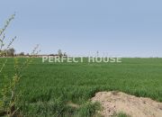 Spółdzielnia rolcznicza 155 ha - pow. poznański miniaturka 39