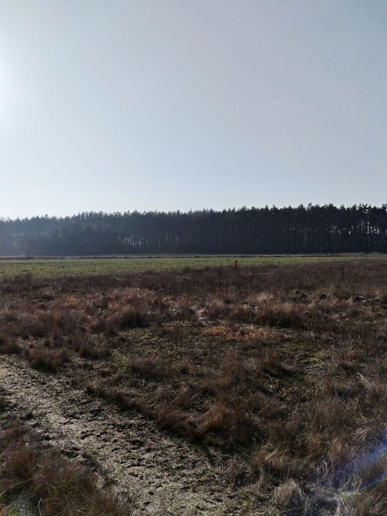 Zarośle Cienkie, 180 000 zł, 20.93 ar, budowlana miniaturka 4