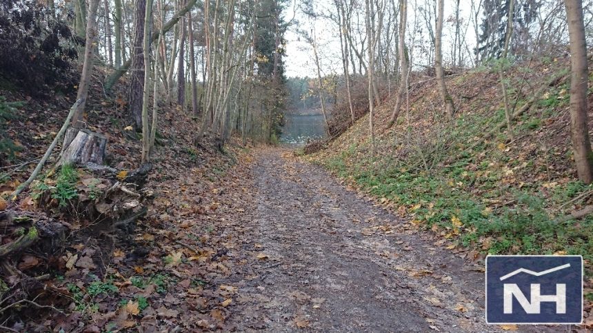 Nowy Jasiniec, 200 000 zł, 15.39 ar, rolna - zdjęcie 1