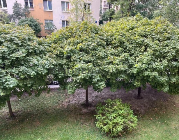 2-pokojowe mieszkanie na Woli miniaturka 13