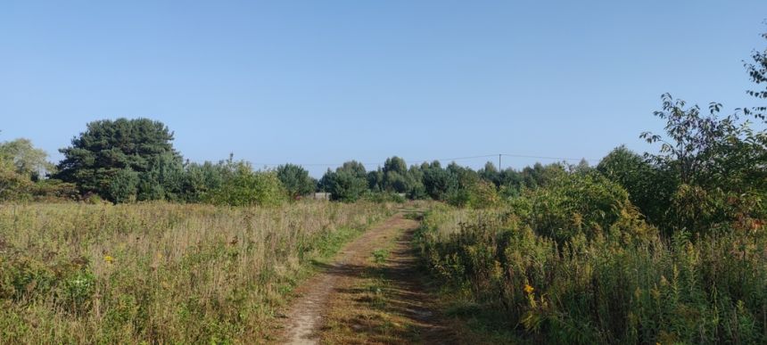 Stare Babice, 2 580 000 zł, 51.6 ar, o nieregularnym kształcie miniaturka 6