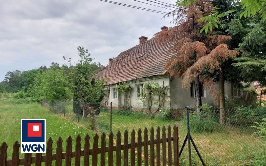 Sterków, 320 000 zł, 160 m2, jednorodzinny miniaturka 14