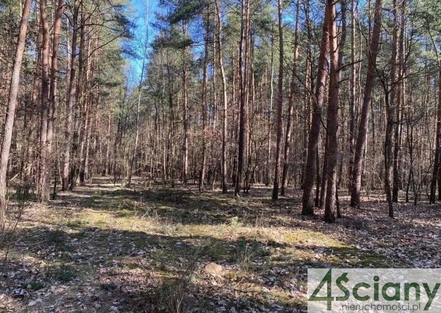 Siestrzeń, 400 000 zł, 23.27 ar, droga dojazdowa utwardzona miniaturka 2