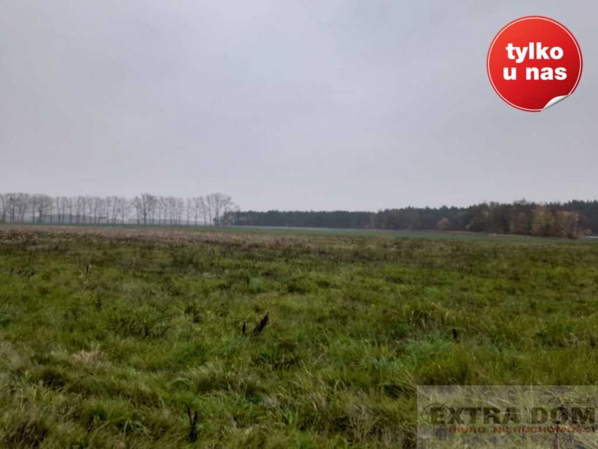 Płoty, 281 000 zł, 8.5 ha, płaska miniaturka 6