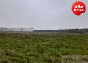 Płoty, 281 000 zł, 8.5 ha, płaska miniaturka 6