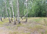 Działka Budy Grzybek 3000 m2 miniaturka 8