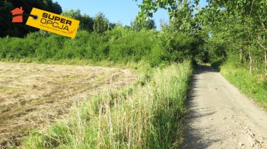 Odrzykoń 215 000 zł 37.56 ar