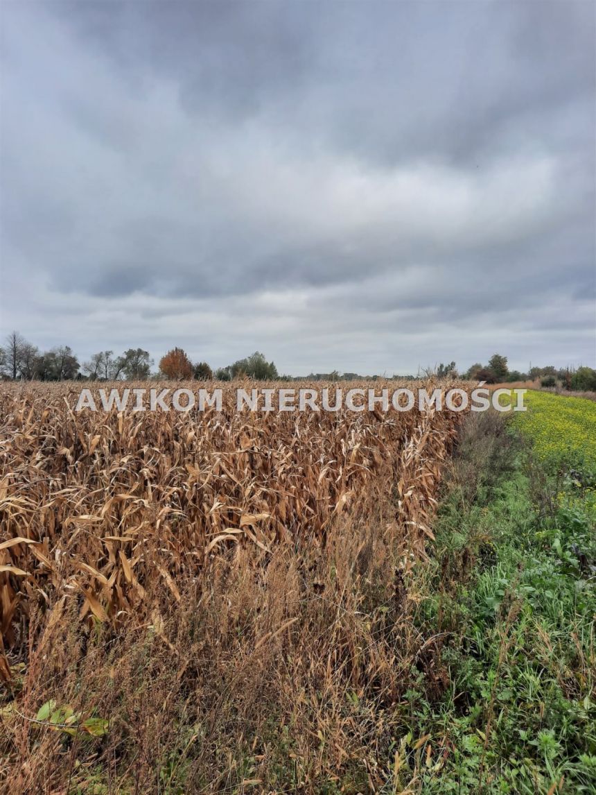 Basin, 670 000 zł, 1.67 ha, rolna - zdjęcie 1