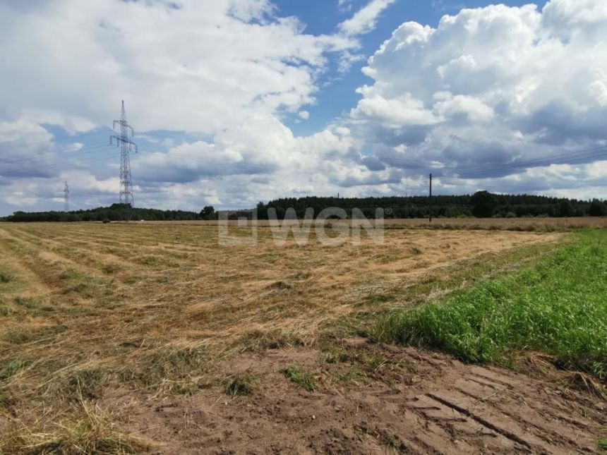 Jędrzychów, 510 000 zł, 51 ar, droga dojazdowa gruntowa miniaturka 2