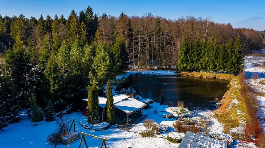 Ciasne, 349 000 zł, 51 ar, prostokątna - zdjęcie 1