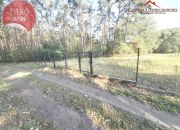 Działka w środku lasu miniaturka 1