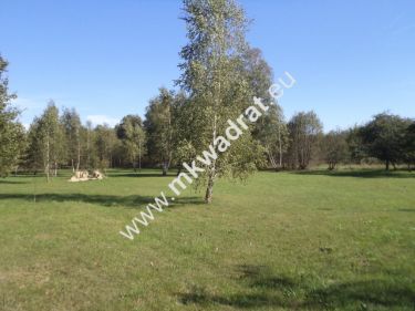 Olszówka, 155 000 zł, 14.85 ar, prostokątna