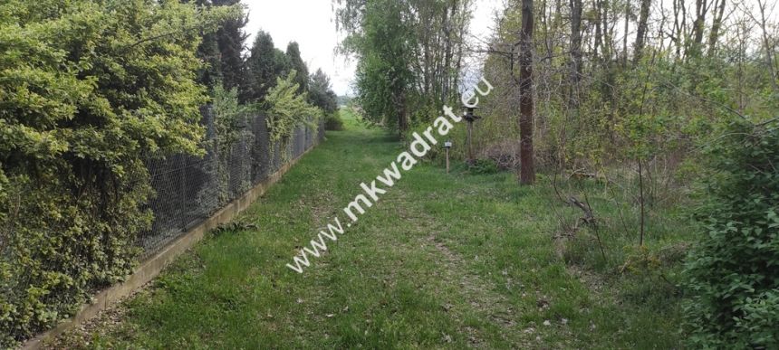 3416m2 Pasikonie k/Kampinosu z warunkami zabudowy! miniaturka 10