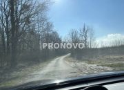 działka 1420m2 nad jeziorem, pole golfowe Choszczn miniaturka 7