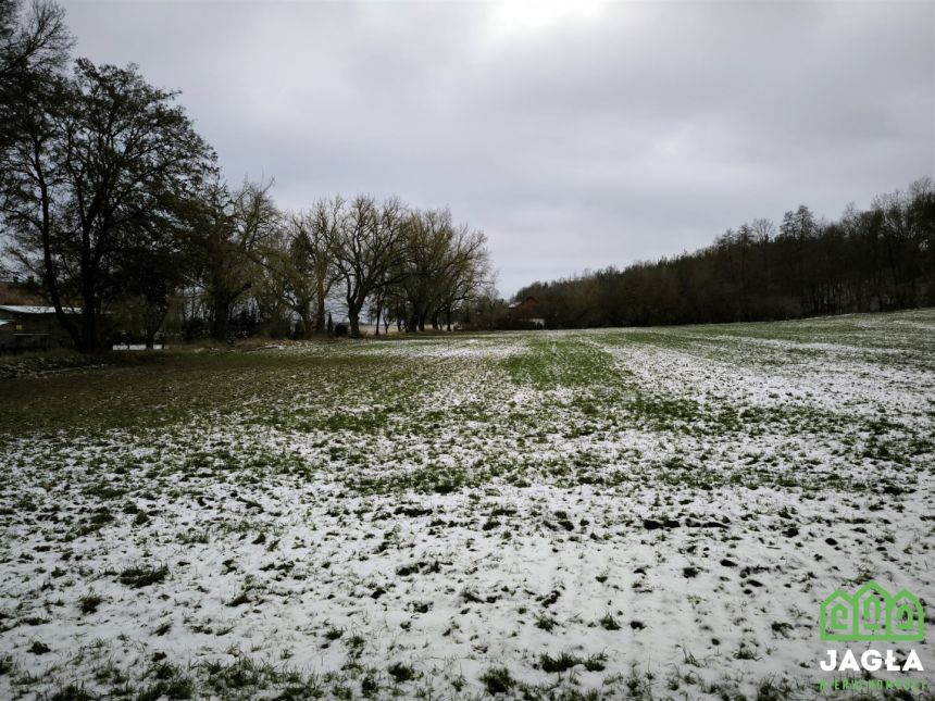 Piękna działka Gruczno 7800m2 miniaturka 5