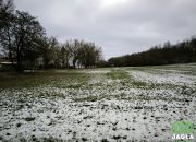Piękna działka Gruczno 7800m2 miniaturka 5