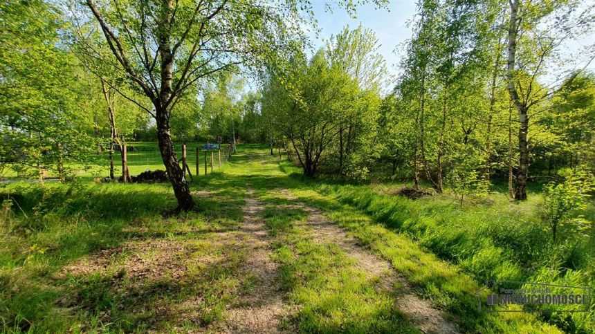 Działka ok 400 m od Jeziora Śmiadowo. miniaturka 13