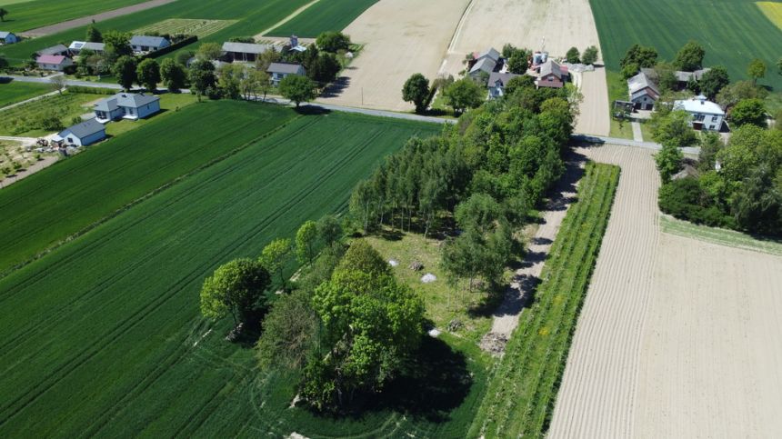 Siedlisko (działka z zabudową) 20a Wola Duża Kol. - zdjęcie 1