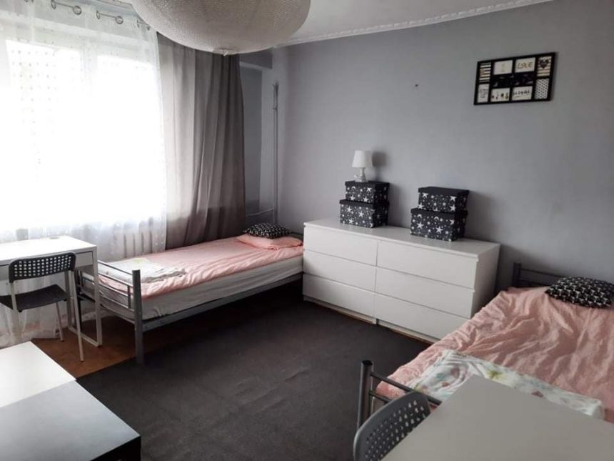 Mieszkanie 50 m2, Bocianek, 2 pokoje - zdjęcie 1