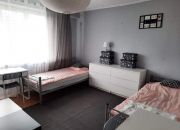 Mieszkanie 50 m2, Bocianek, 2 pokoje miniaturka 1