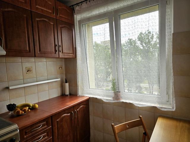 Słoneczne, zieleń wokół miniaturka 12