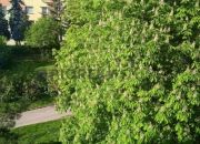3-pokojowe mieszkanie w Bemowie miniaturka 10