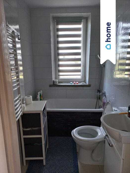 Dom 145 m2  Bogusław gm. Gorzków działka 9500 m2 miniaturka 12