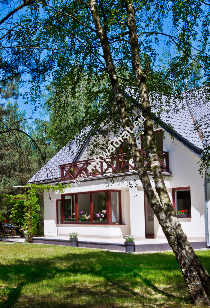 Piękna rezydencja  na działce 9000 m2 miniaturka 11