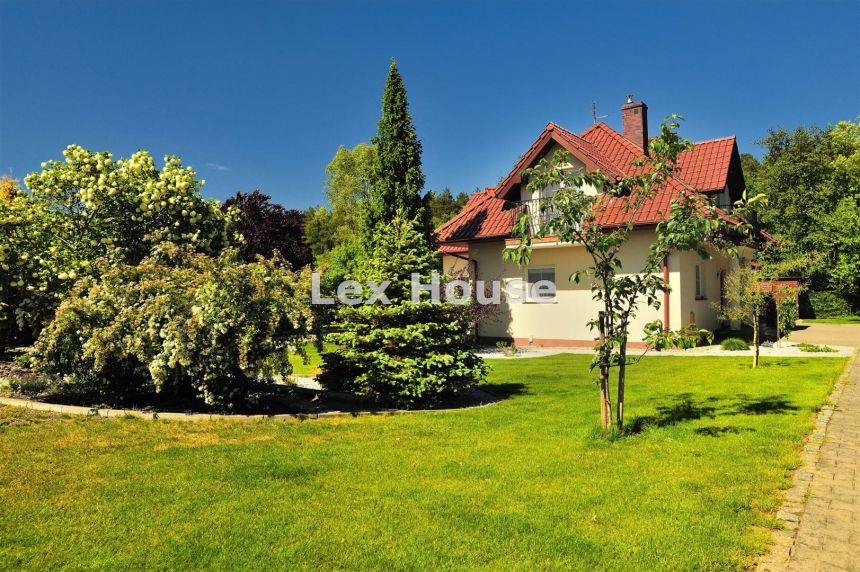 Sprzedam dom przy granicy Puszczy Bukowej w Płoni. miniaturka 5