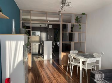 2 POKOJOWE MIESZKANIE 37M2, WYNAJEM, AZORY