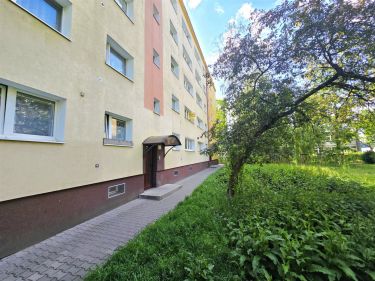 2 pokoje na 1 piętrze, 43m²
