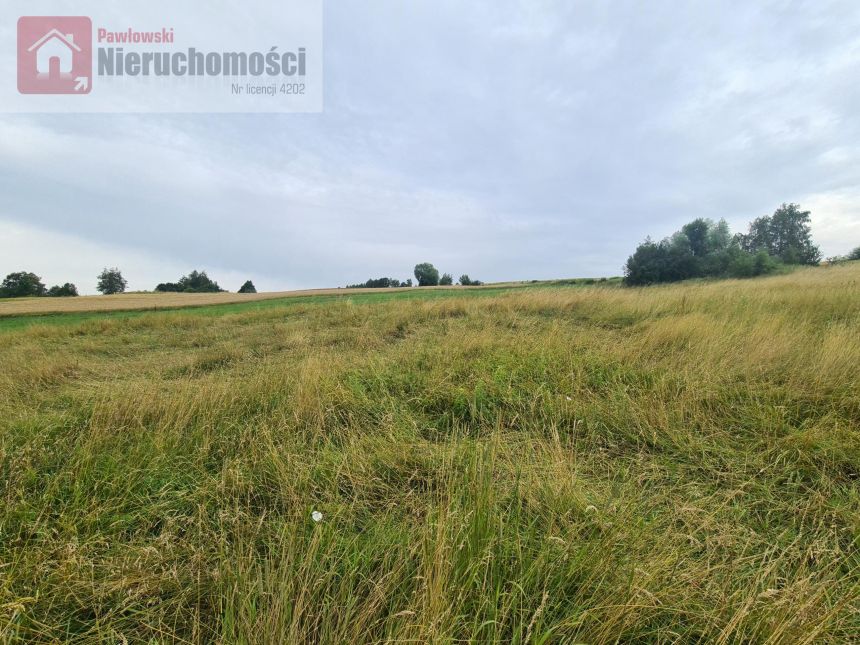 Radziszów, 130 000 zł, 9.78 ar, droga dojazdowa polna miniaturka 4