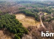 Działka 1,37 ha przy lesie | Zabudowa zagrodowa miniaturka 4