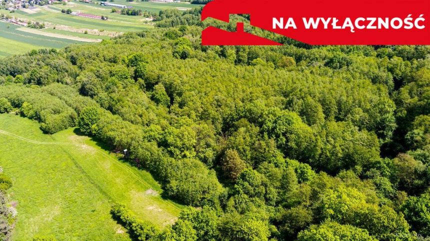 Działka leśna w Skrzyszowie miniaturka 3
