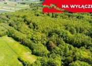 Działka leśna w Skrzyszowie miniaturka 3