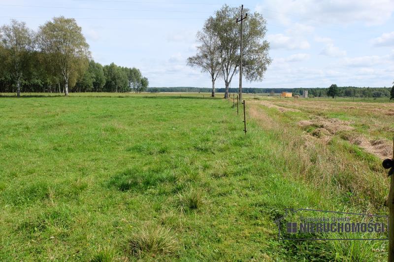 Pięknie położona działka rolna. miniaturka 15