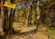 Zabierzów, 1 100 000 zł, 125.72 m2, bliźniak miniaturka 4